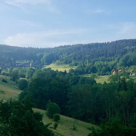 Апартаменты Schwarzwald-ferienwohnung Mit Panorama Und Pool