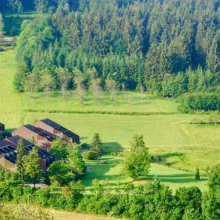 Schwarzwald-ferienwohnung Mit Panorama Und Pool
