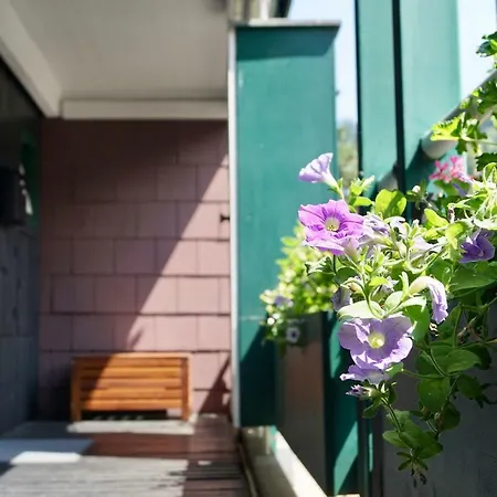 Schwarzwald-ferienwohnung Mit Panorama Und Pool Апартаменты *