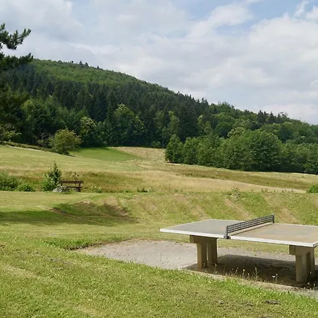 Schwarzwald-ferienwohnung Mit Panorama Und Pool Appartement