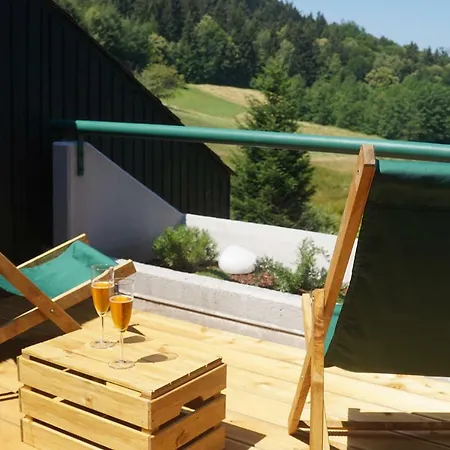 Schwarzwald-ferienwohnung Mit Panorama Und Pool Sasbachwalden