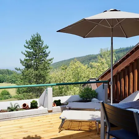 Schwarzwald-ferienwohnung Mit Panorama Und Pool Sasbachwalden